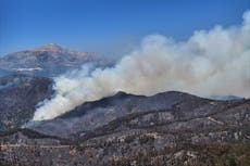 Los enormes incendios forestales en Siria quedan controlados tras días de intensos esfuerzos