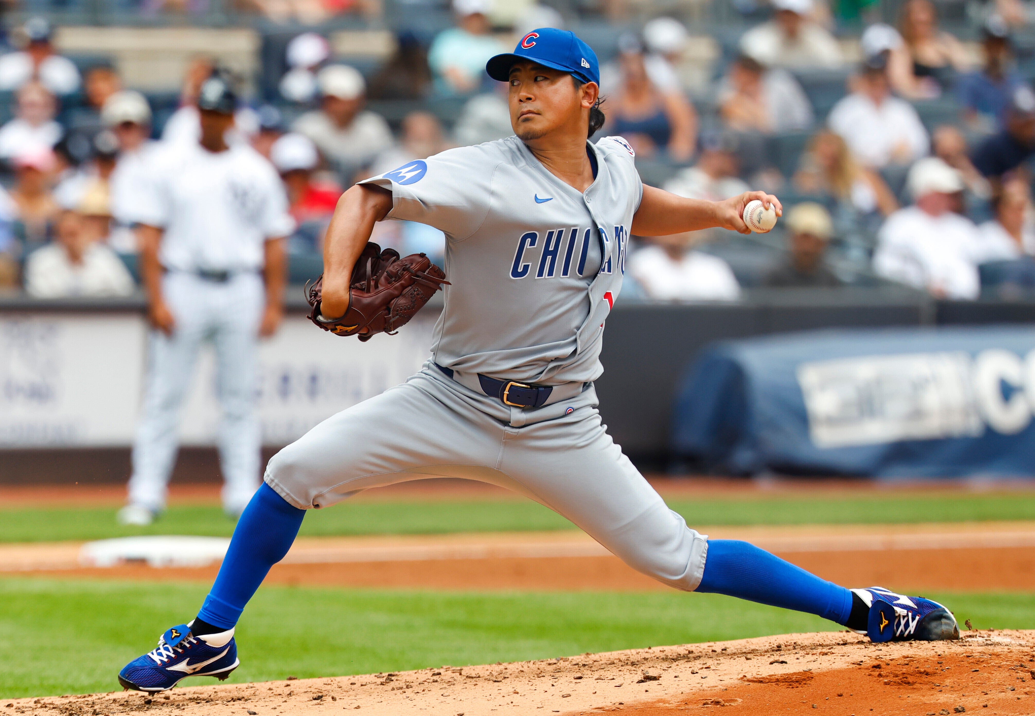CACHORROS YANKEES