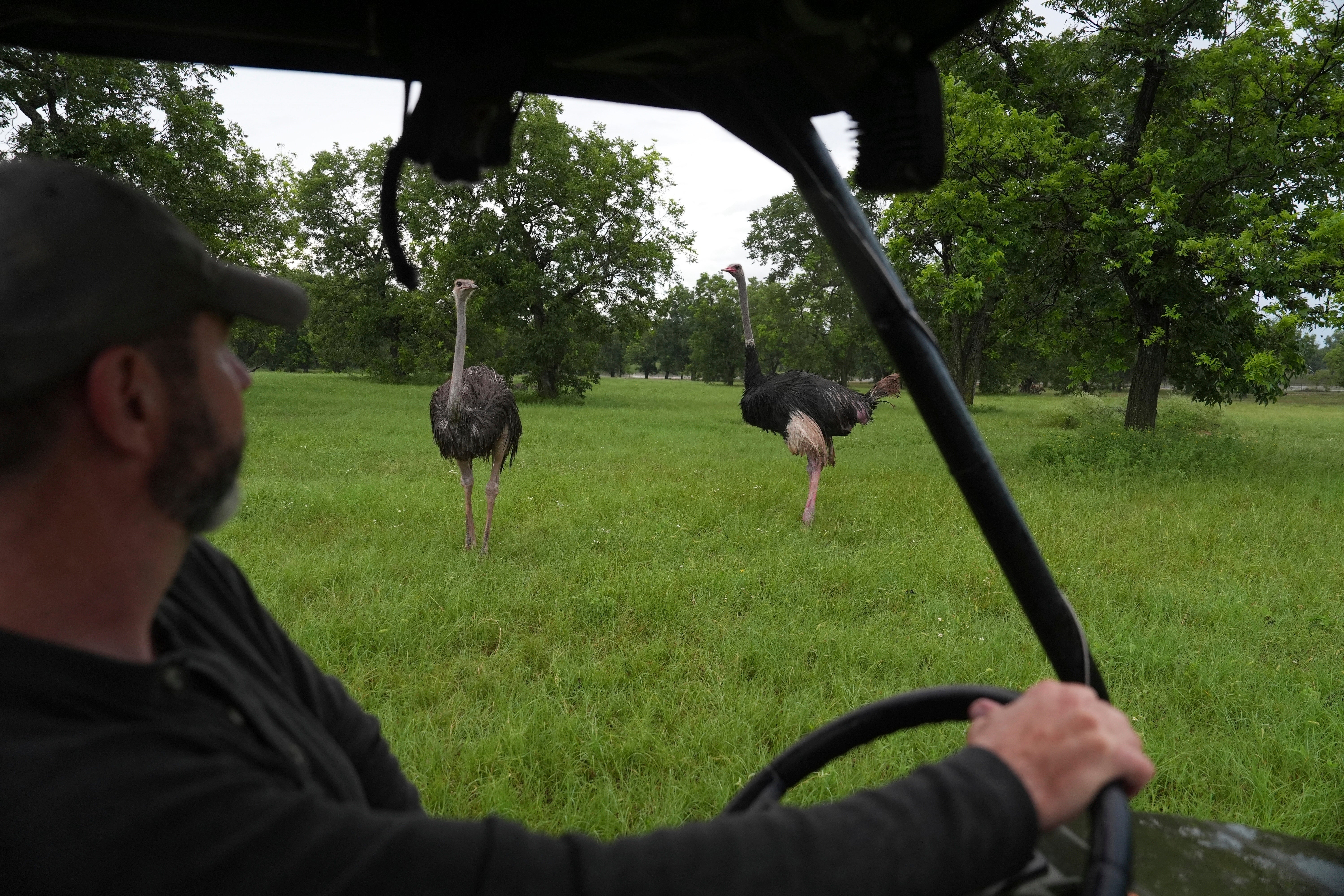 TEXAS-INUNDACIONES-GRANJEROS