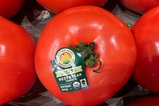 EEUU impone arancel del 17% a los tomates mexicanos con la esperanza de impulsar producción nacional