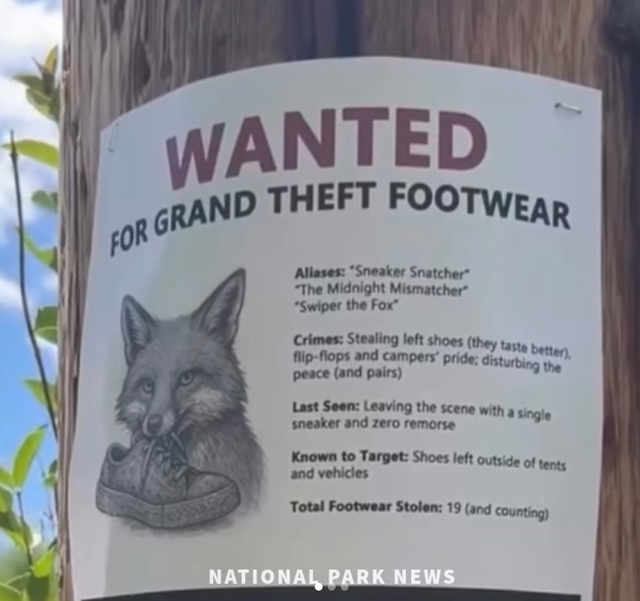 <p>Un cartel advierte a los visitantes del Parque Nacional de Grand Teton, en Wyoming, que hay un zorro que roba calzado desde hace semanas</p>