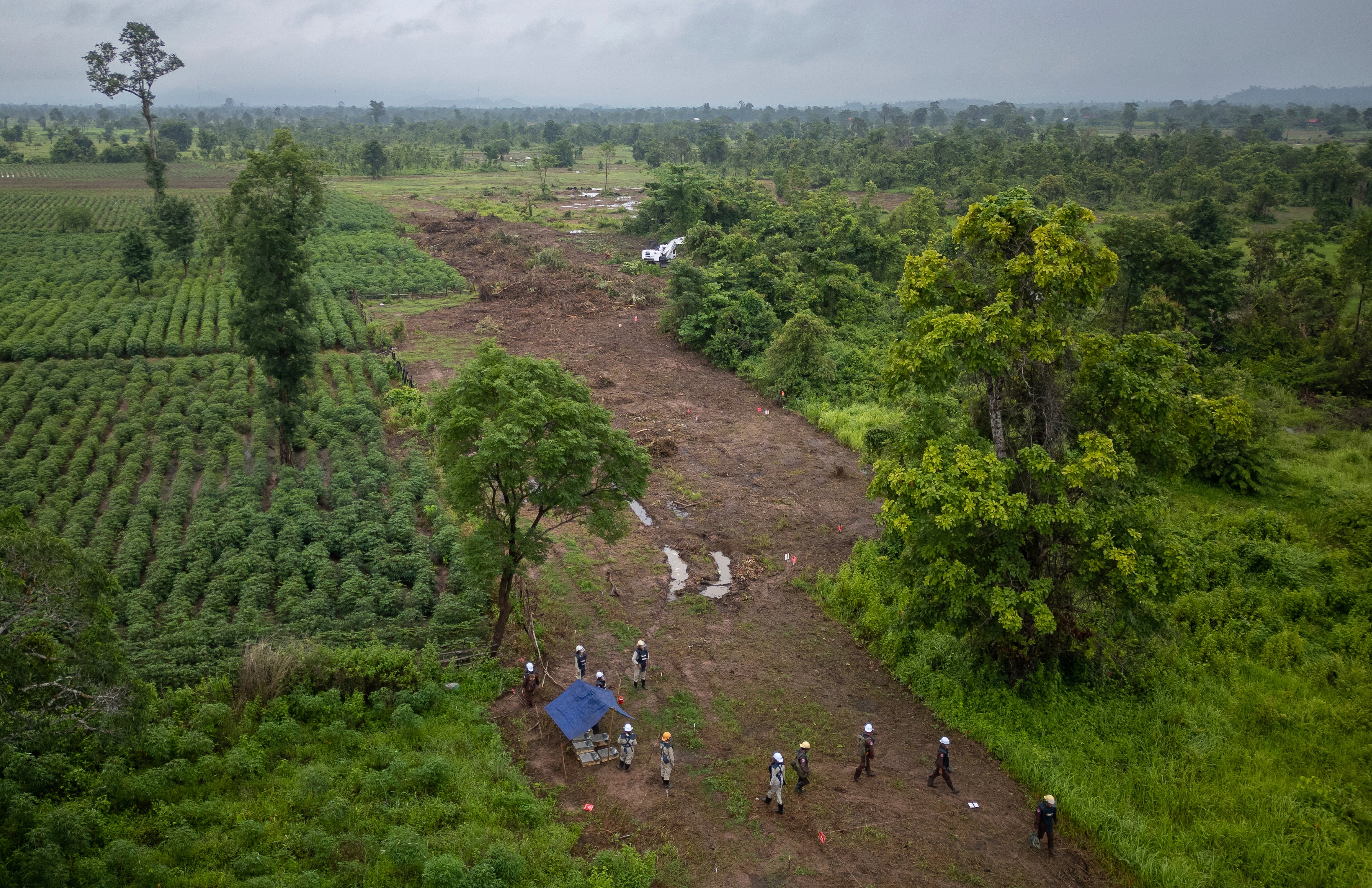 CAMBOYA-RATAS CONTRA MINAS-FOTOS