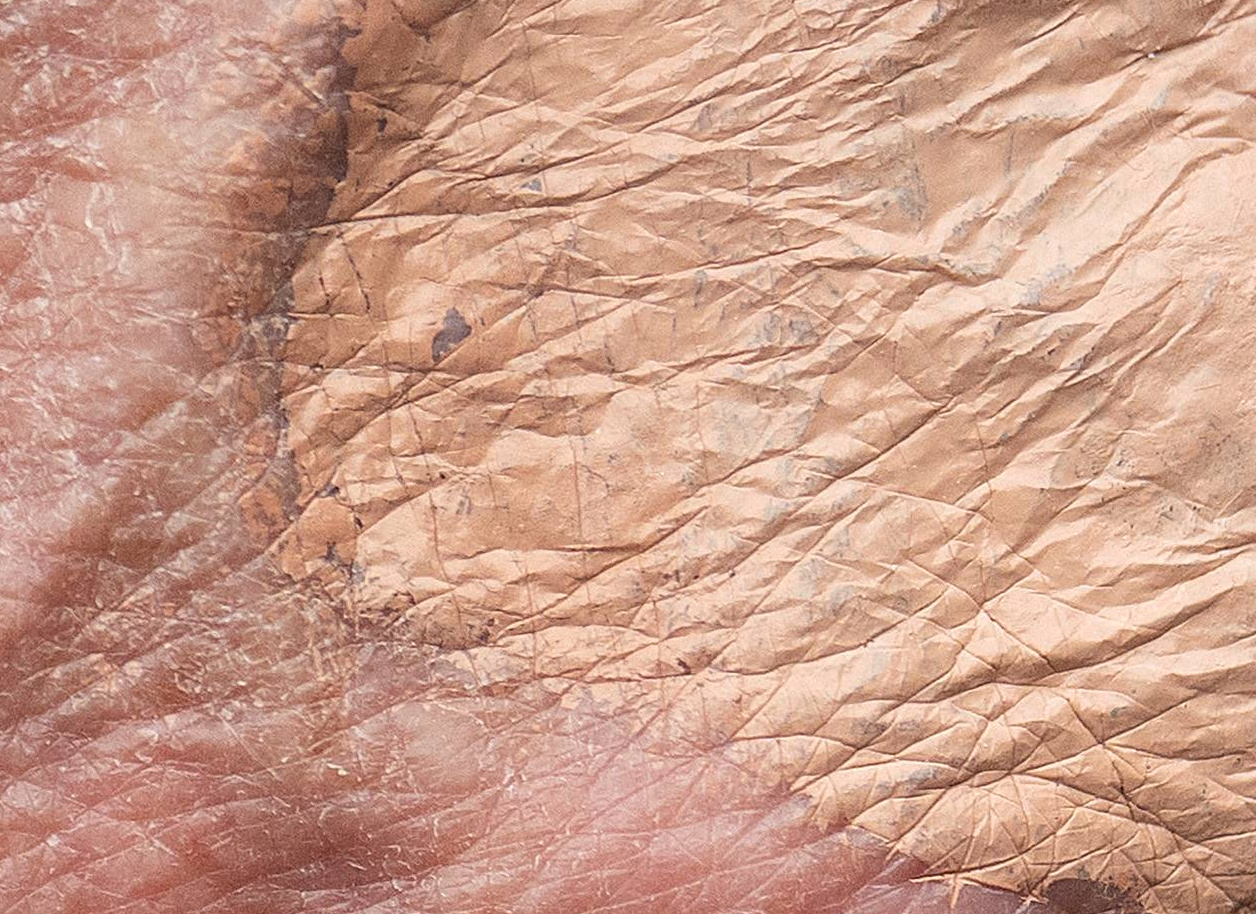 Una inspección más cercana de la mano derecha de Trump reveló un contraste evidente entre el maquillaje y el tono natural de su piel