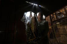 Fotos capturan celebración de los chilenos de la Virgen del Carmen