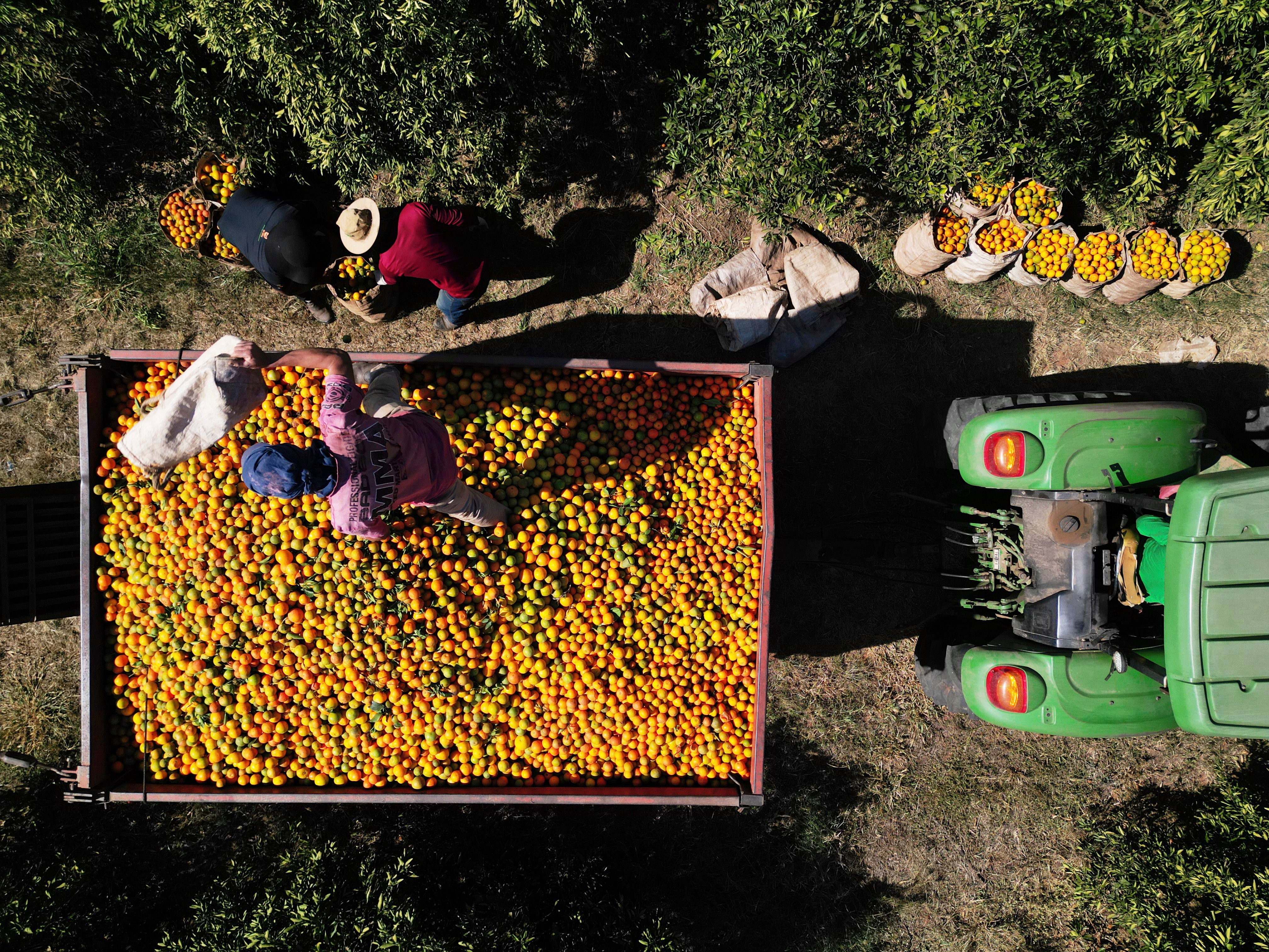 REP-GEN LATINOAMÉRICA EN IMÁGENES-FOTOS