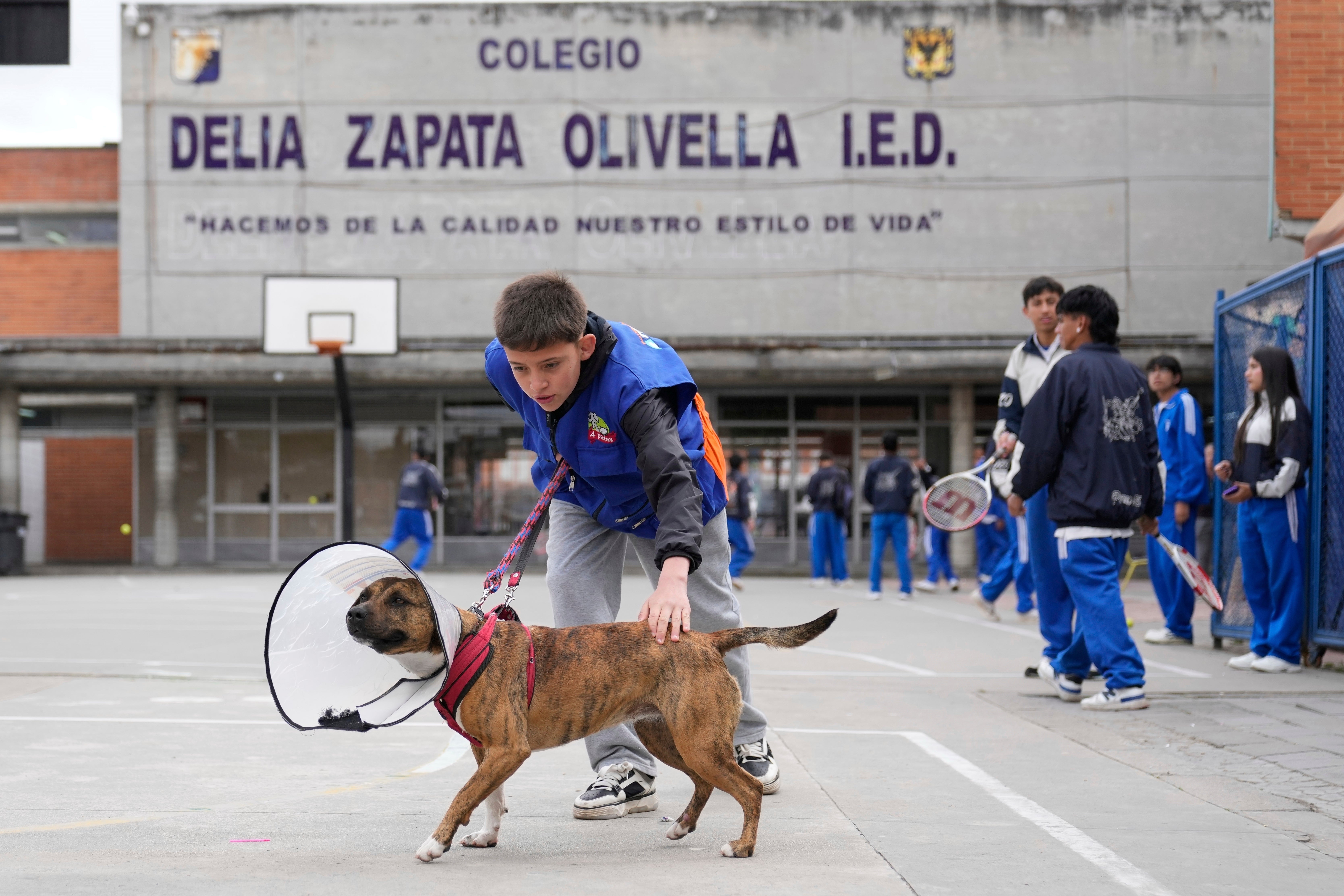 COLOMBIA-REFUGIO ANIMALES