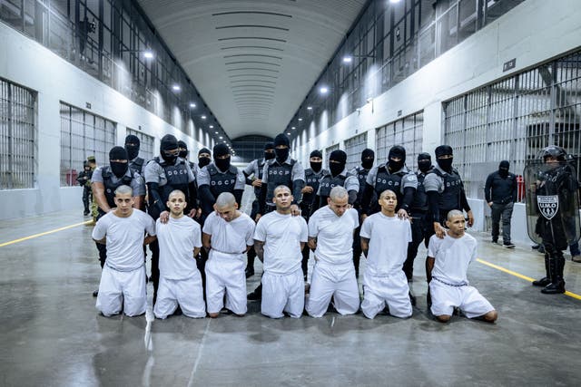 <p>El gobierno de Trump negoció un acuerdo para liberar a ciudadanos estadounidenses detenidos en Venezuela, a cambio de decenas de venezolanos que habían sido deportados desde Estados Unidos y recluidos en una prisión de alta seguridad en El Salvador</p>