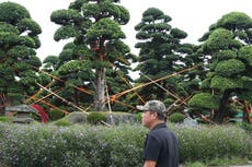 Fuertes tormentas en el norte de Vietnam dejan un muerto mientras Wipha remite a depresión tropical