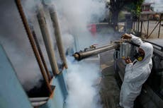 Fumigan barrios en Panamá para frenar el dengue tras un año con cifras récord de casos y muertes