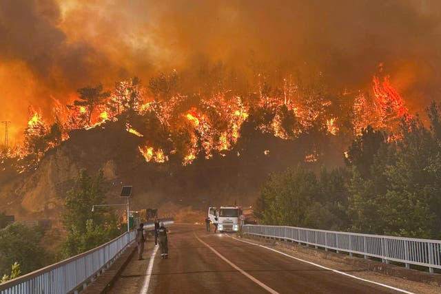 TURQUÍA-INCENDIOS