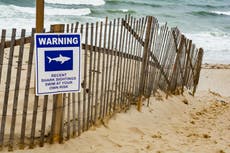 Evacúan playa de Mallorca tras el ataque salvaje de un pez a una turista italiana