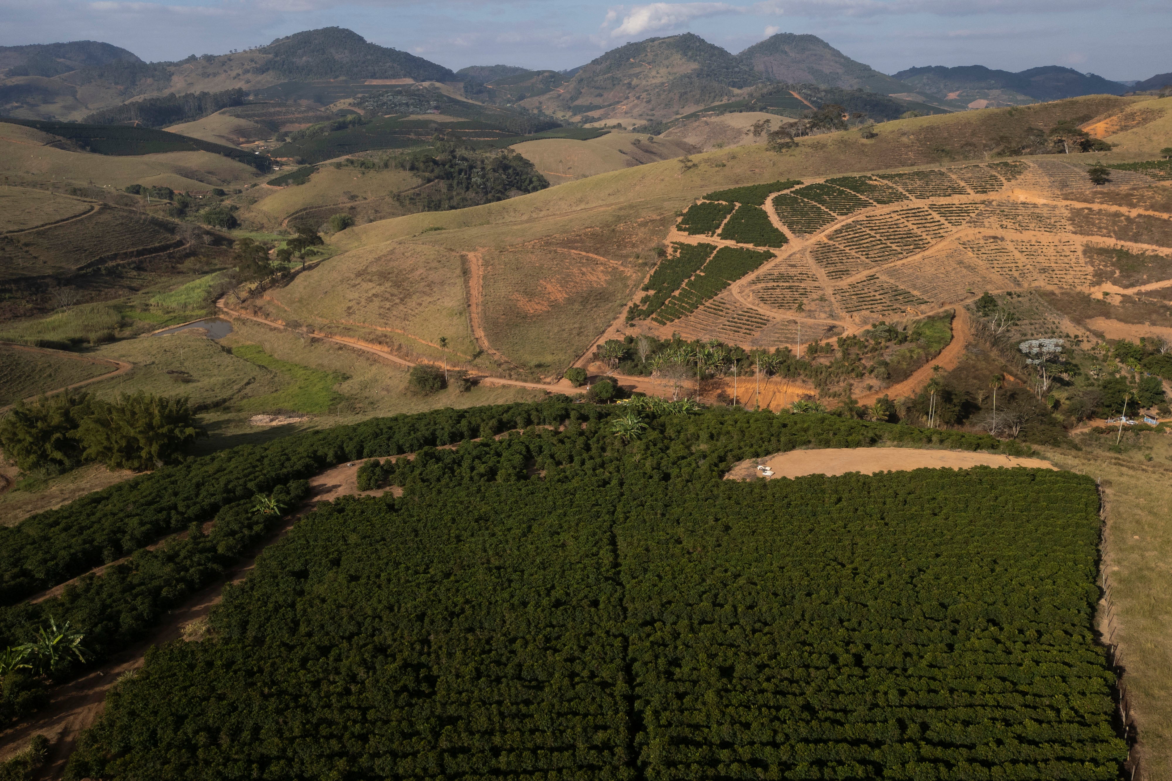 REP-ECO BRASIL-EEUU-PRODUCTORES DE CAFÉ