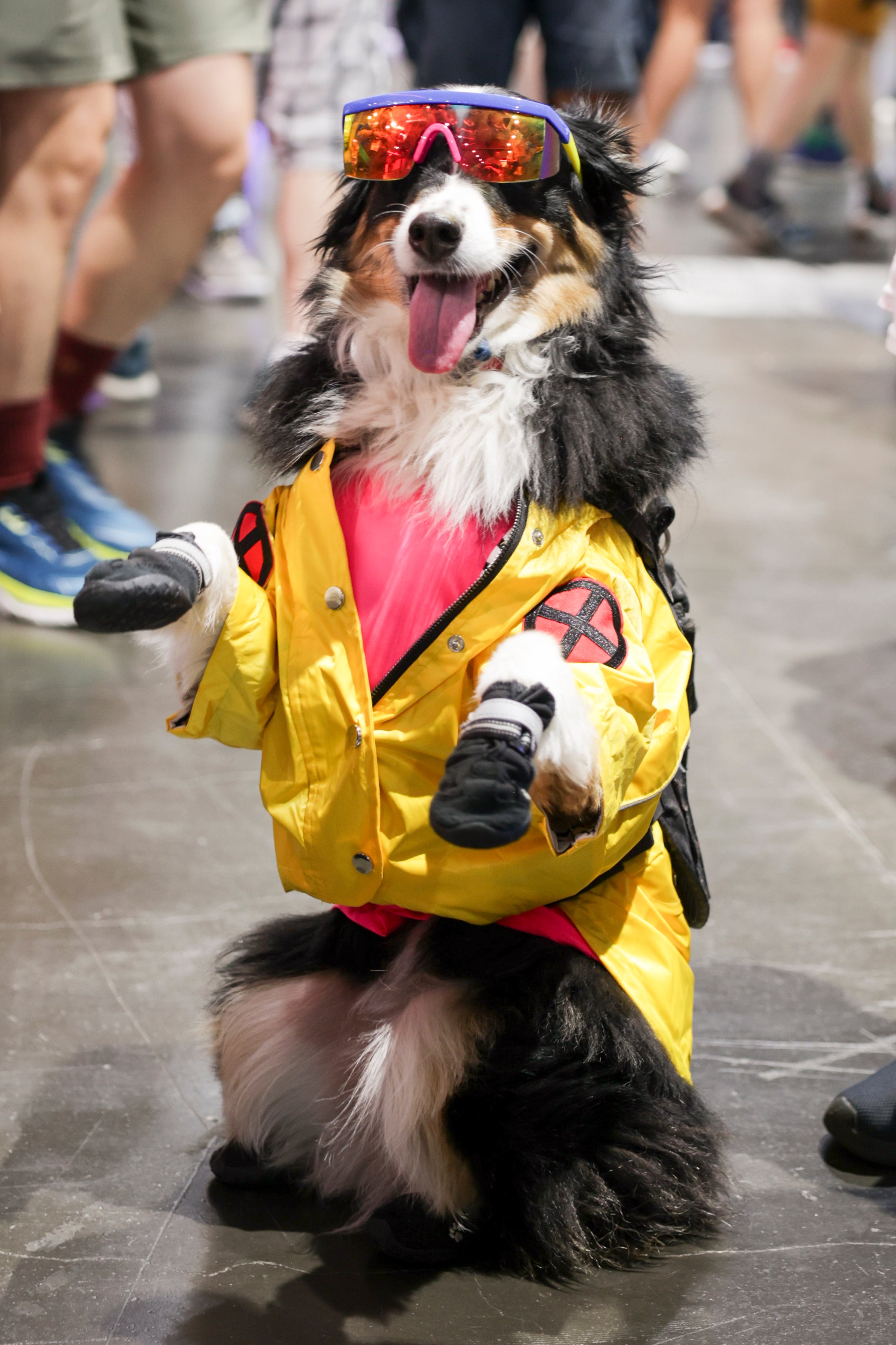 2025 Comic-Con - Preview Night