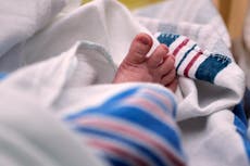 Datos revelan que tasa de fertilidad en EEUU registró su nivel más bajo en 2024