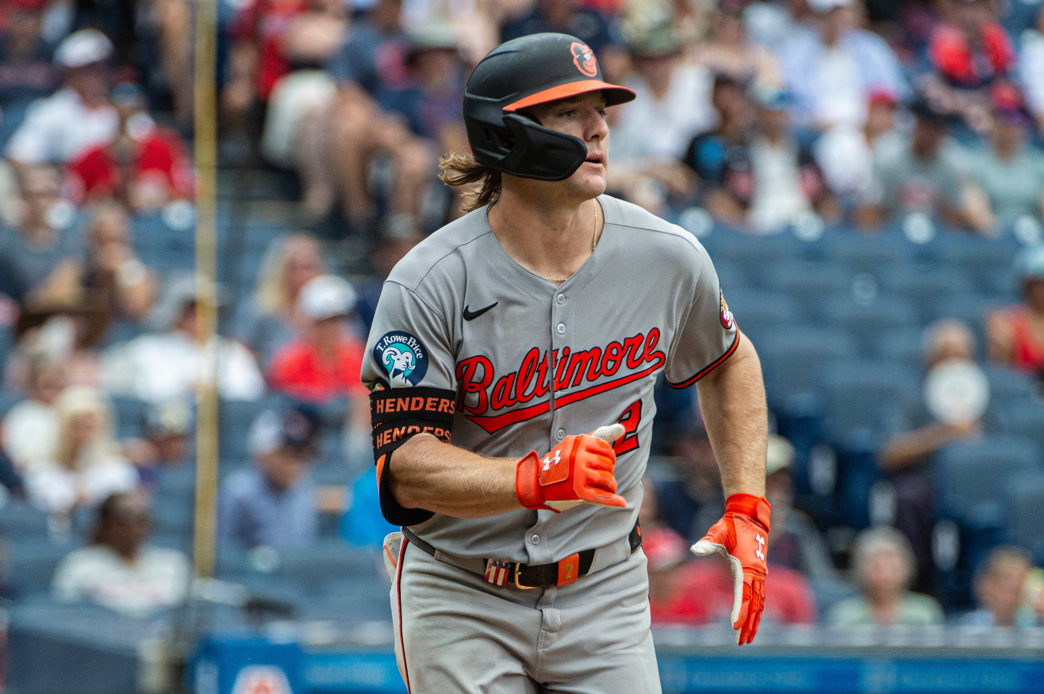 ORIOLES GUARDIANES