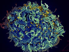 Organismo de la UE aprueba fármaco inyectable que podría prevenir la transmisión del VIH