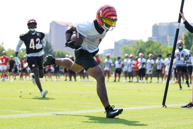 BENGALS-CHASE