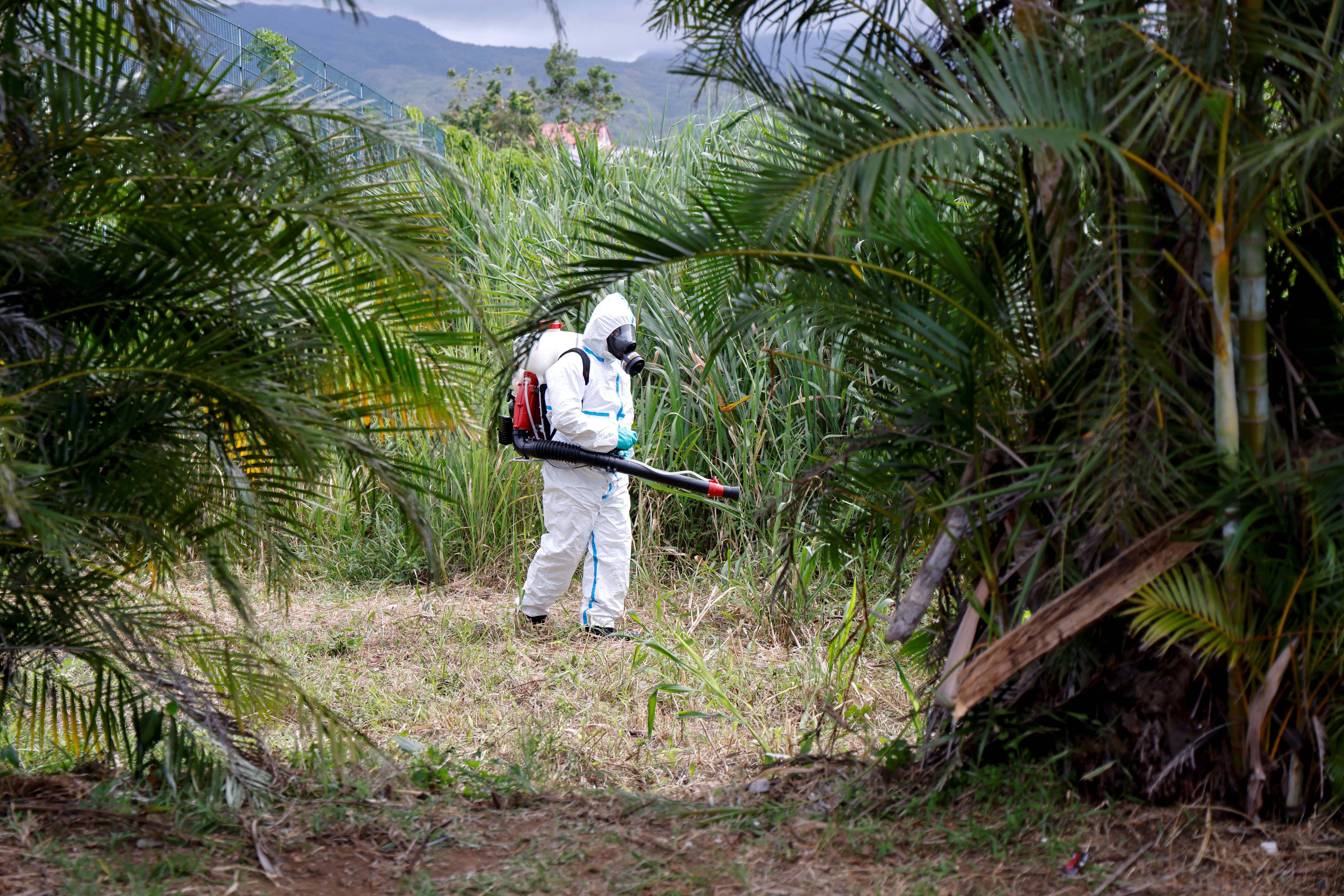 El virus del chikungunya fue identificado por primera vez en 1952 durante un brote en Tanzania