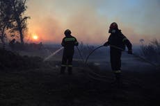 Incendio forestal arrasa suburbio en el norte de Atenas y provoca evacuación de residentes