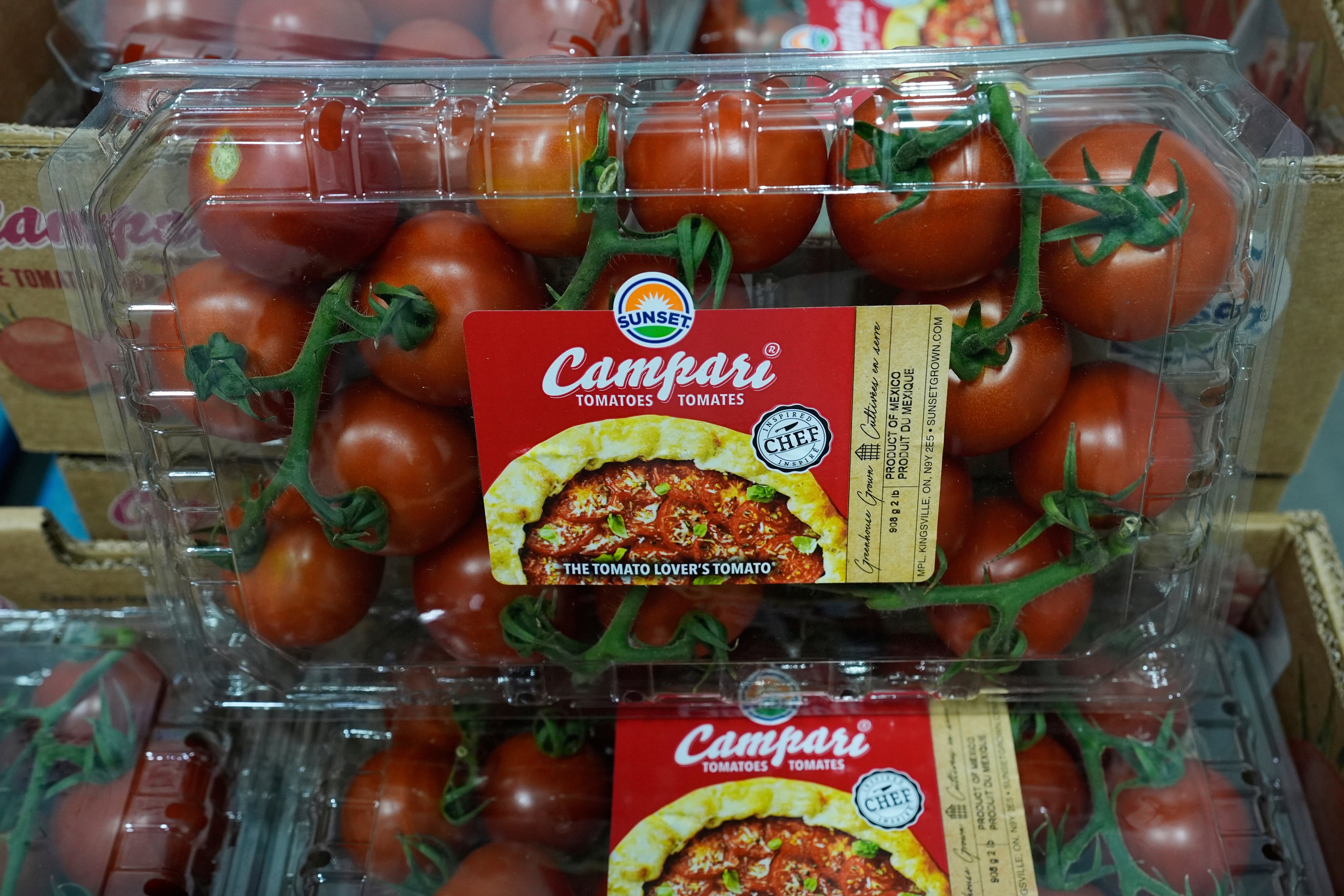 MÉXICO-EEUU TOMATES