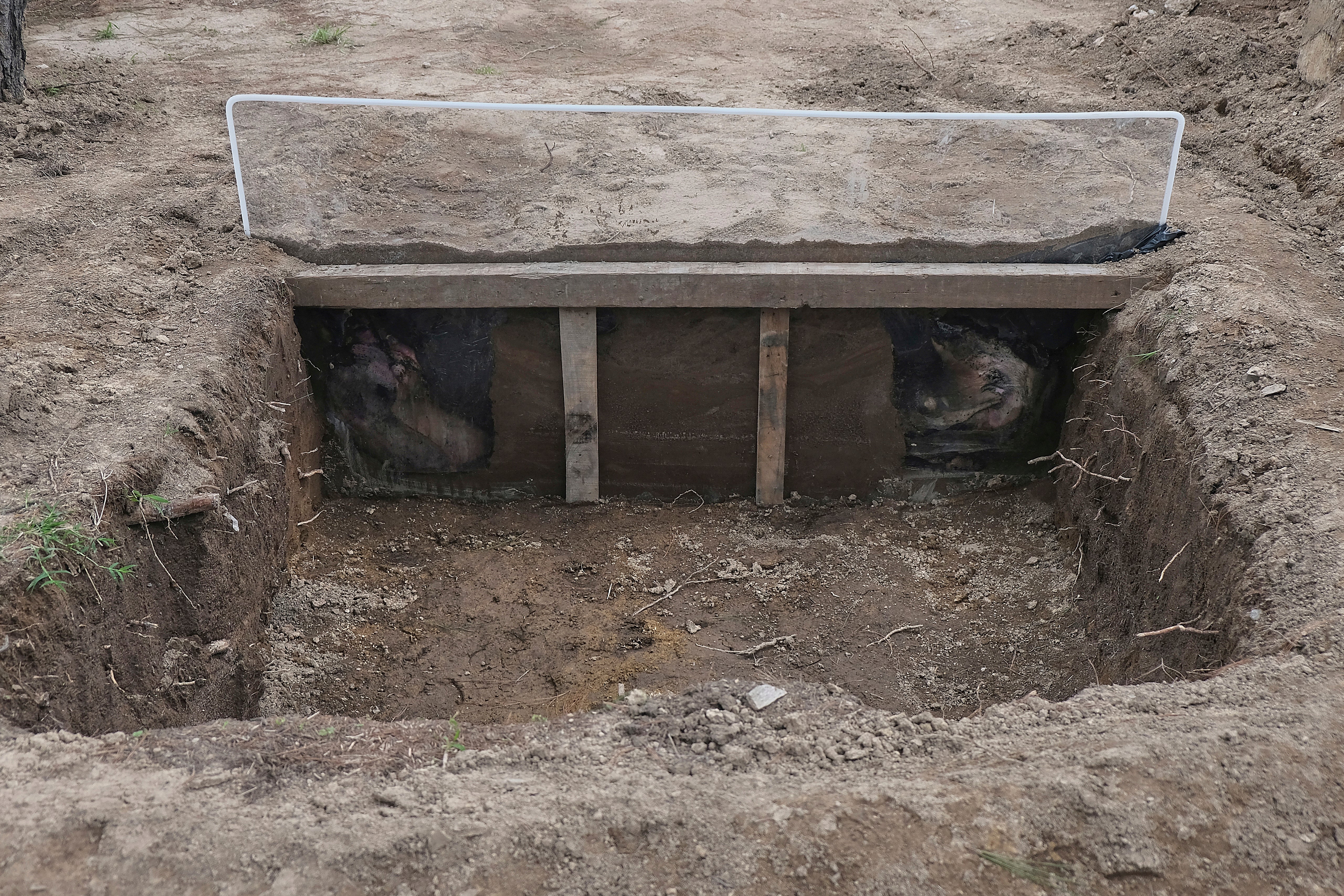 MÉXICO-DESAPARECIDOS-CIENCIA