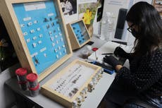 Ciencia, tecnología y cerdos. México experimenta nuevas formas de buscar a los desaparecidos