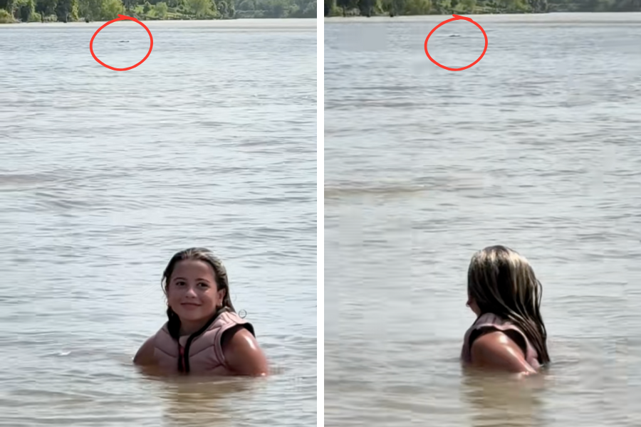 Clair Hurta, una competidora de wakesurf de 12 años, tuvo un encuentro cercano con un caimán en el río Colorado, en Texas, durante el fin de semana