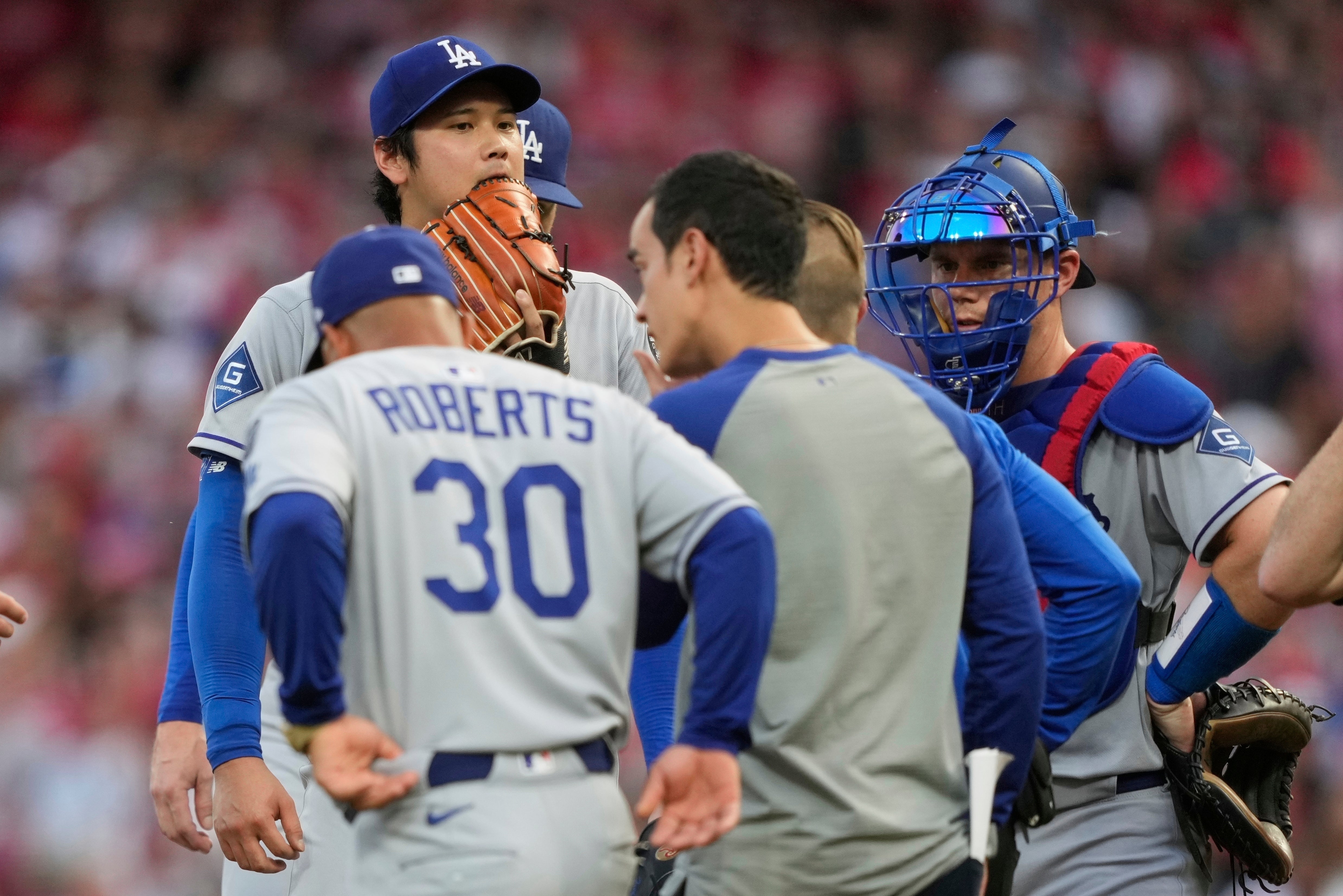 DODGERS ROJOS