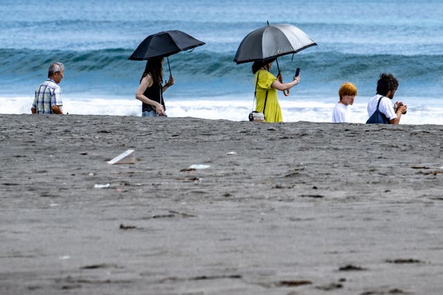 <p>La gente visita la playa de Heisaura luego de que se cancelara la alerta de tsunami</p>