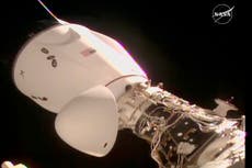 SpaceX lleva a cuatro astronautas a la Estación Espacial Internacional en apenas 15 horas