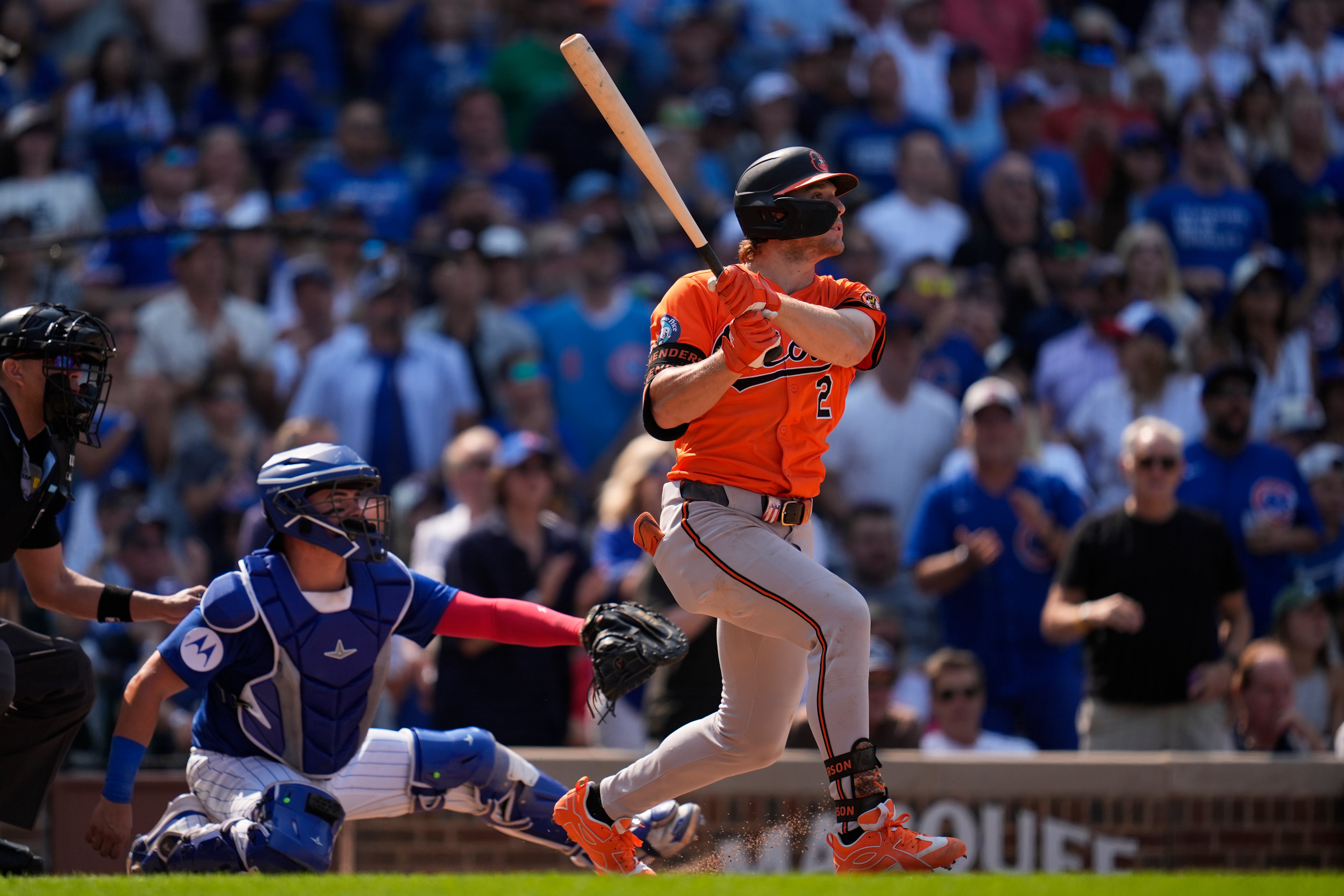 ORIOLES CACHORROS