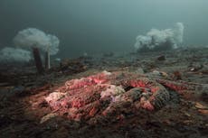 Cómo los científicos resolvieron uno de los mayores misterios del océano