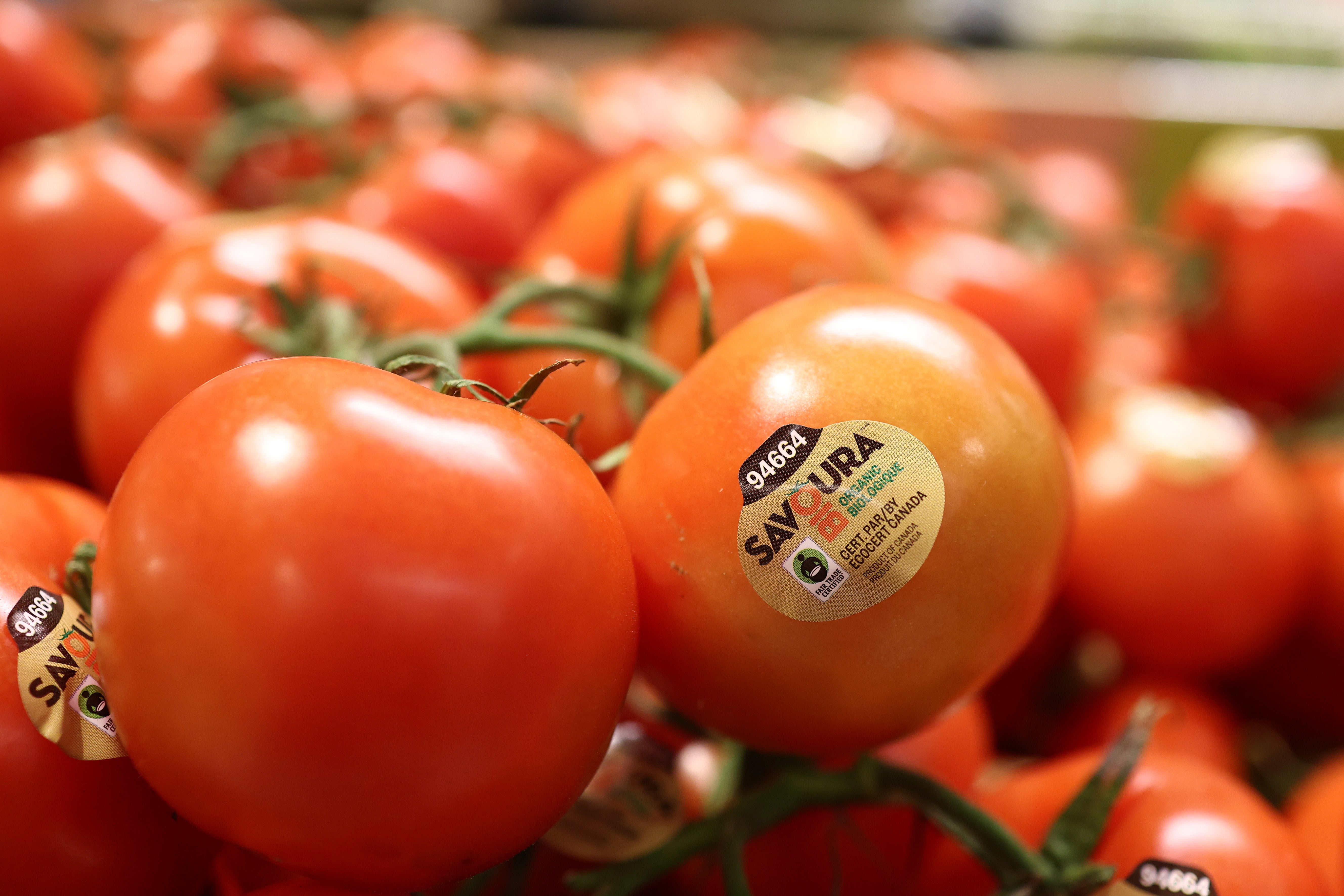 En la dieta mediterránea se recomienda comer tomates, bayas, cerezas y otras frutas. Tienen un alto contenido en vitamina C y antioxidantes