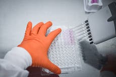 Publicaciones científicas fraudulentas crecen a un ritmo alarmante, advierte estudio