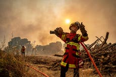 Devastación en Francia por el peor incendio forestal en décadas