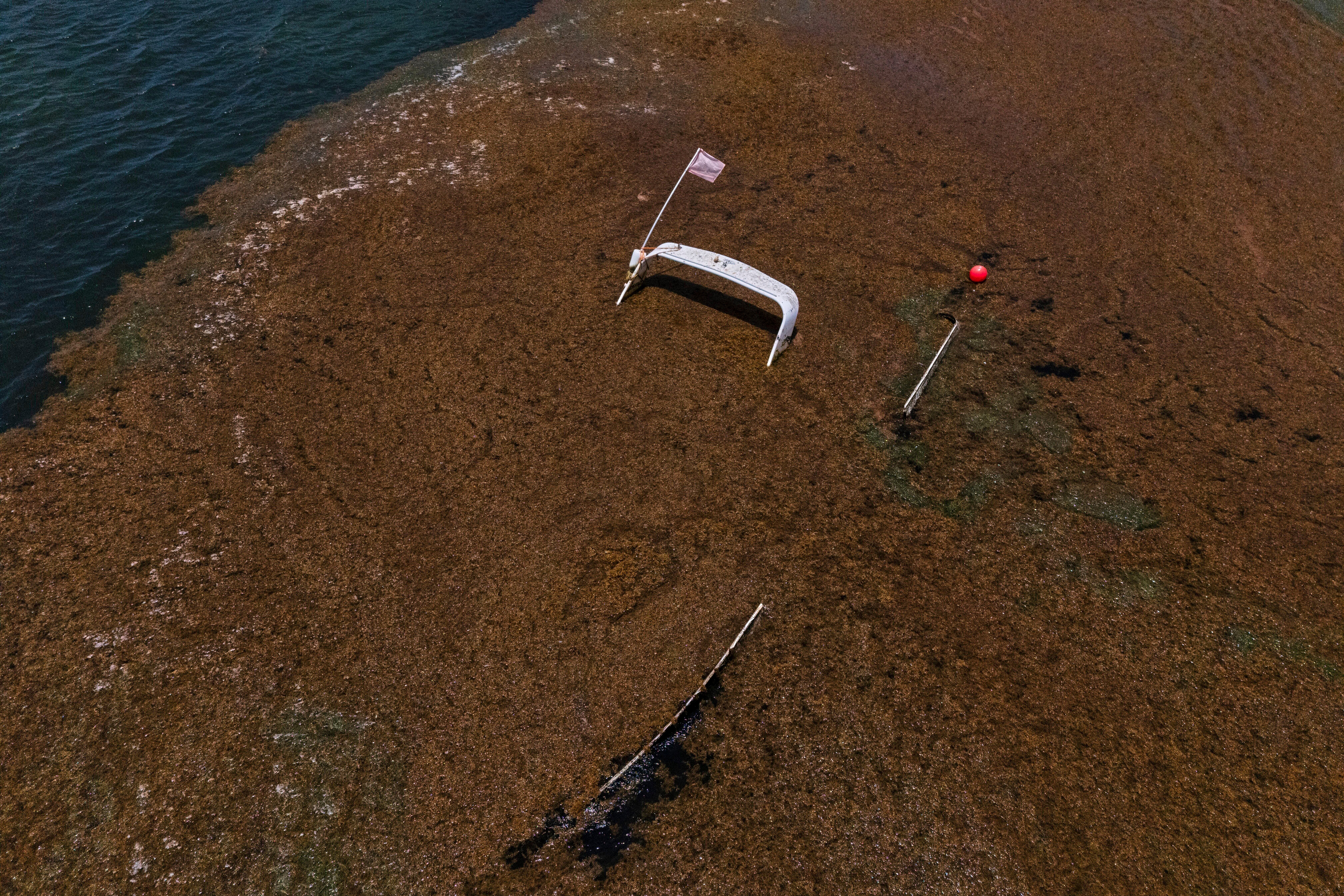 REP-GEN LATINOAMÉRICA EN IMÁGENES-FOTOS