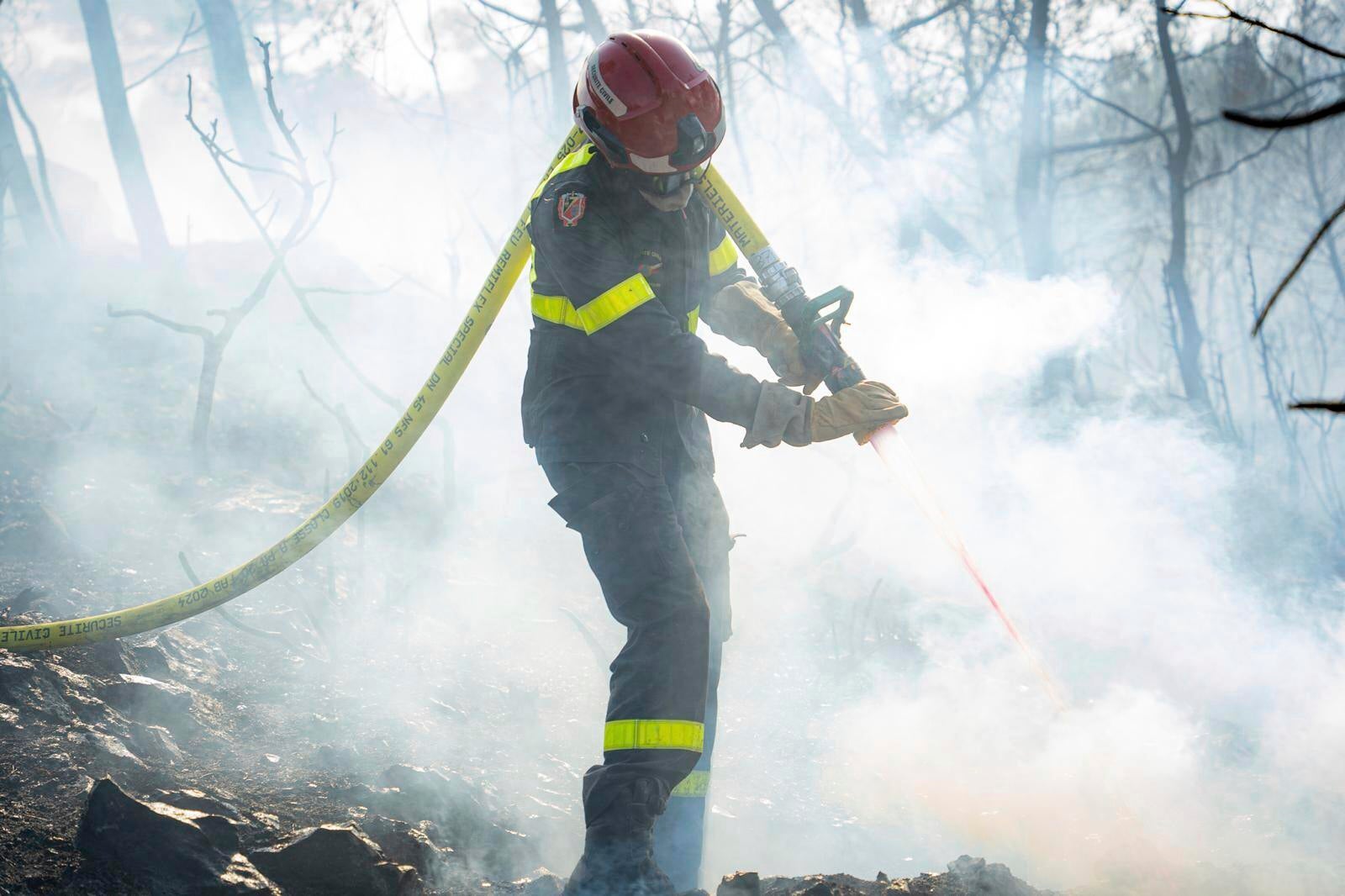 EUR-GEN FRANCIA-INCENDIOS