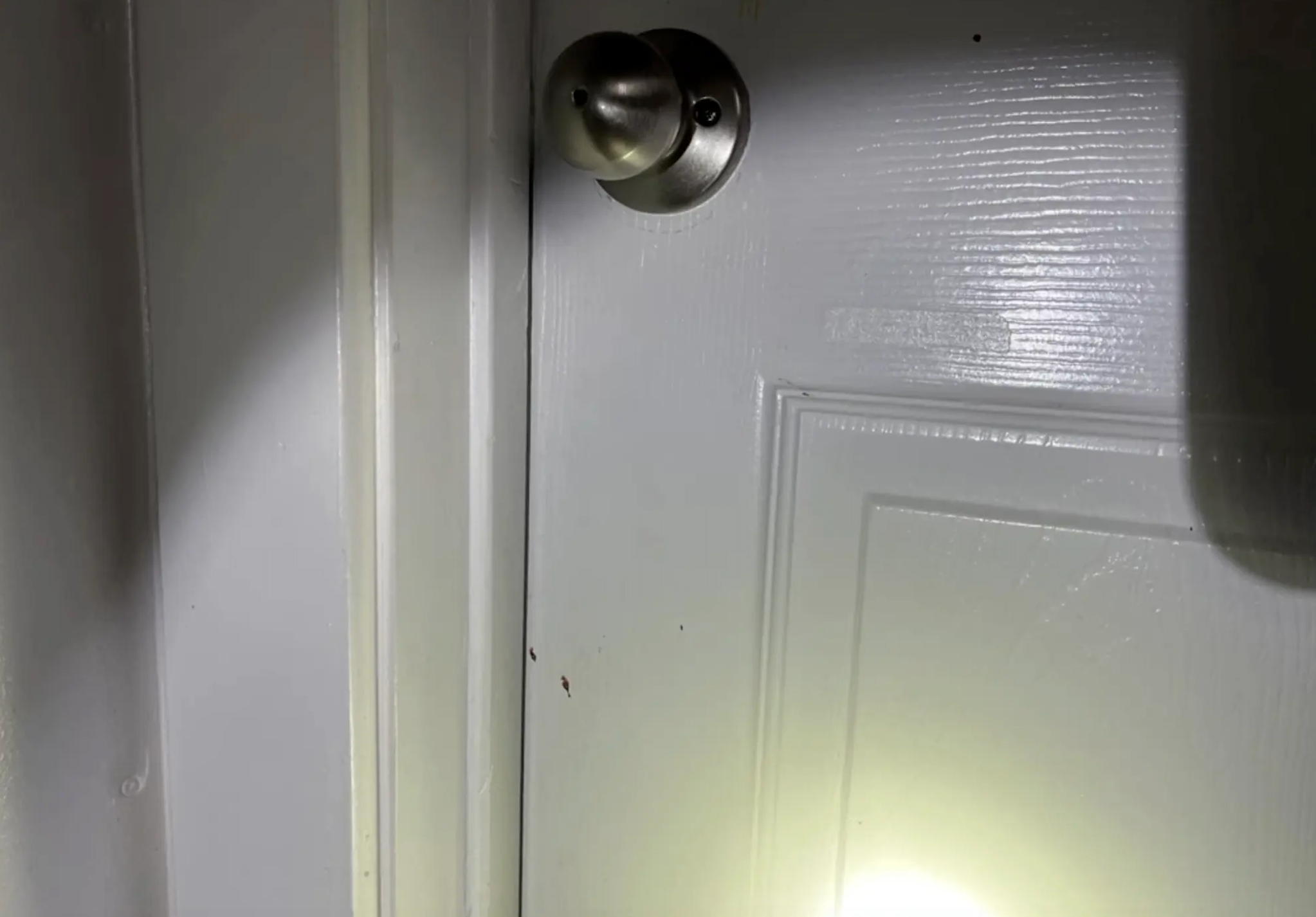 Imagen que muestra lo que parecen ser salpicaduras de sangre en una de las puertas del interior de la casa de Moscow, Idaho, tras los asesinatos