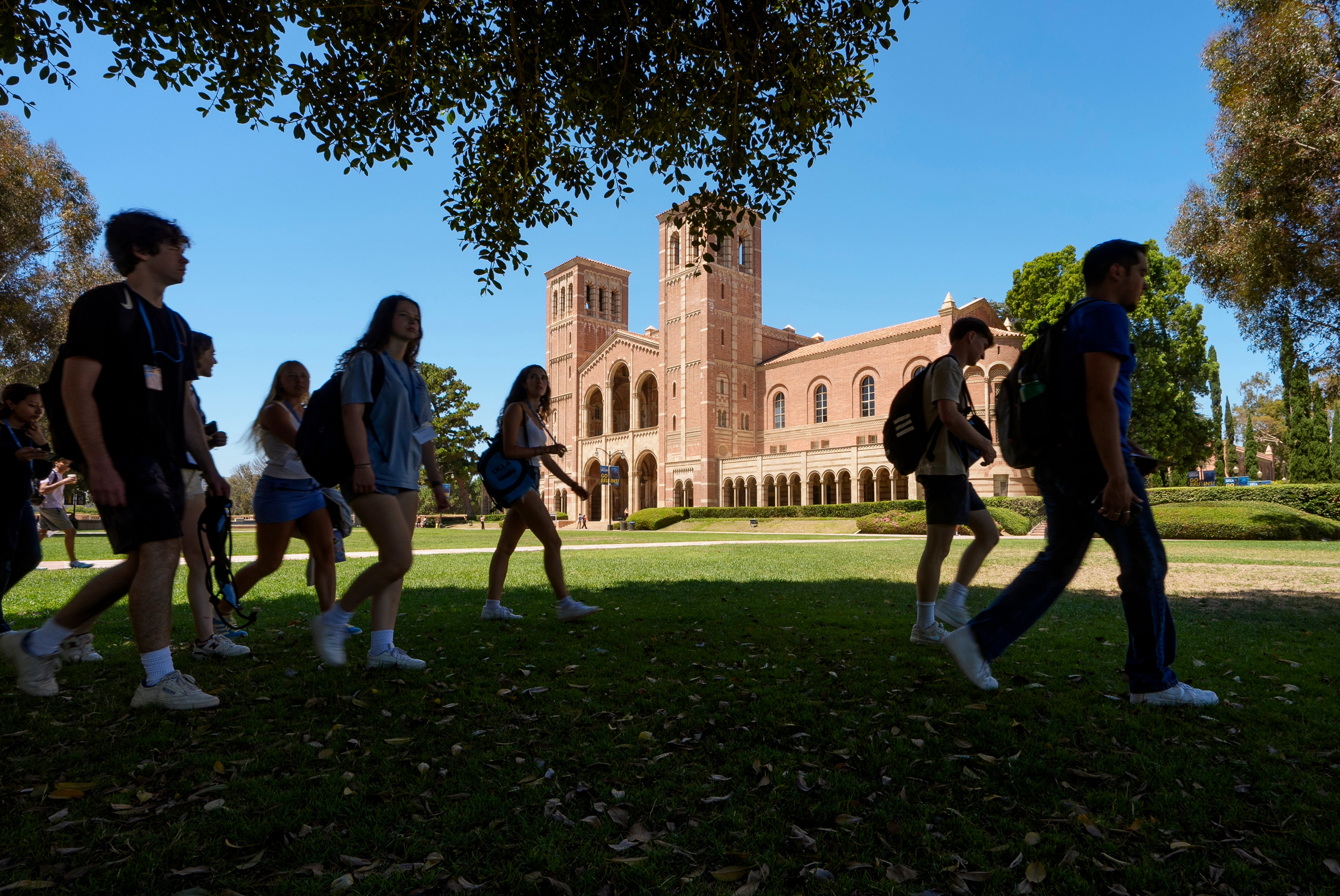 TRUMP-UCLA