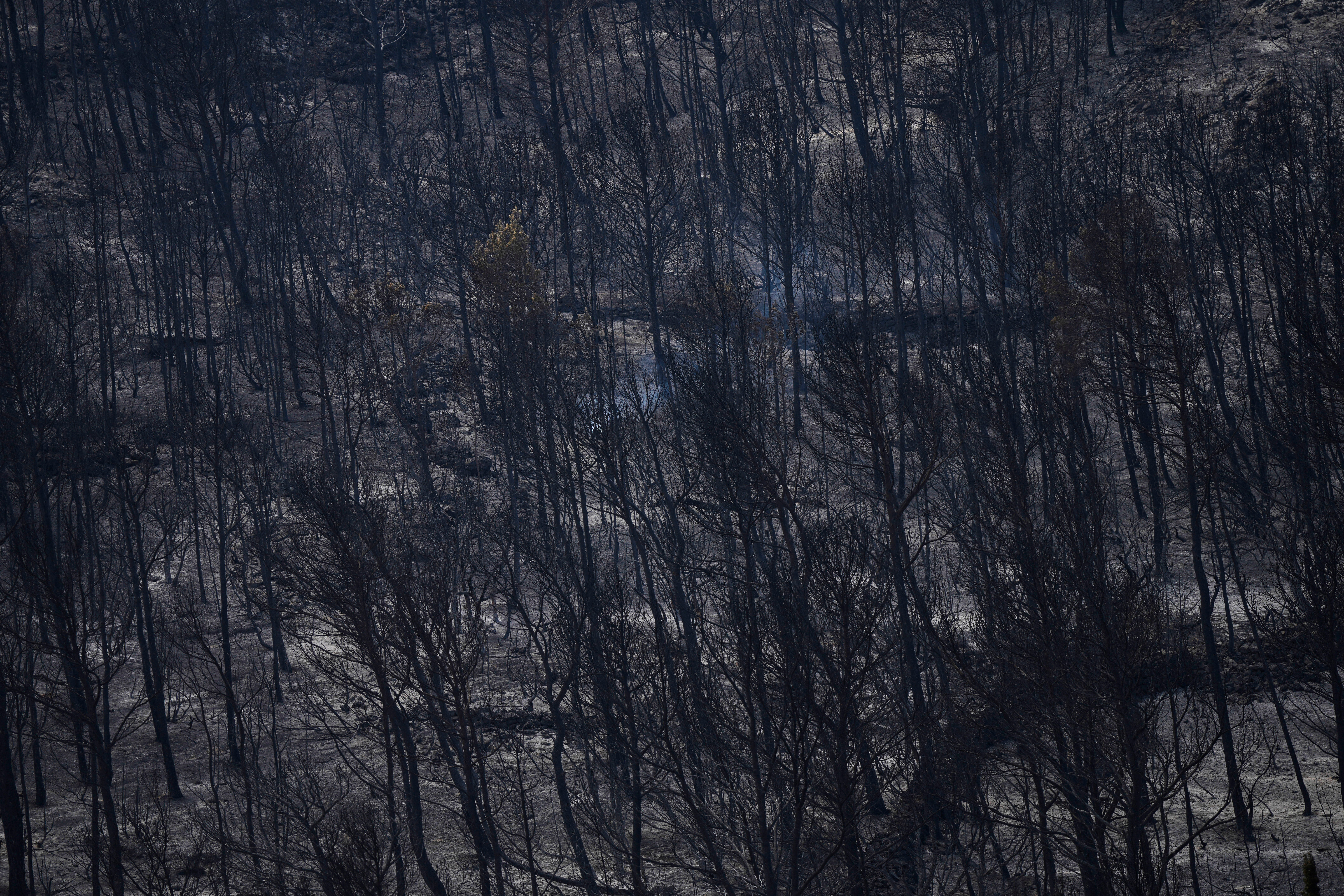 EUR-GEN FRANCIA-INCENDIOS
