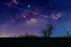 Lluvia de meteoros de las Perseidas: cómo ver cientos de estrellas fugaces esta noche