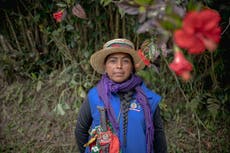 Grupos indígenas sin armas enfrentan a guerrilleros violentos que reclutan a menores en Colombia