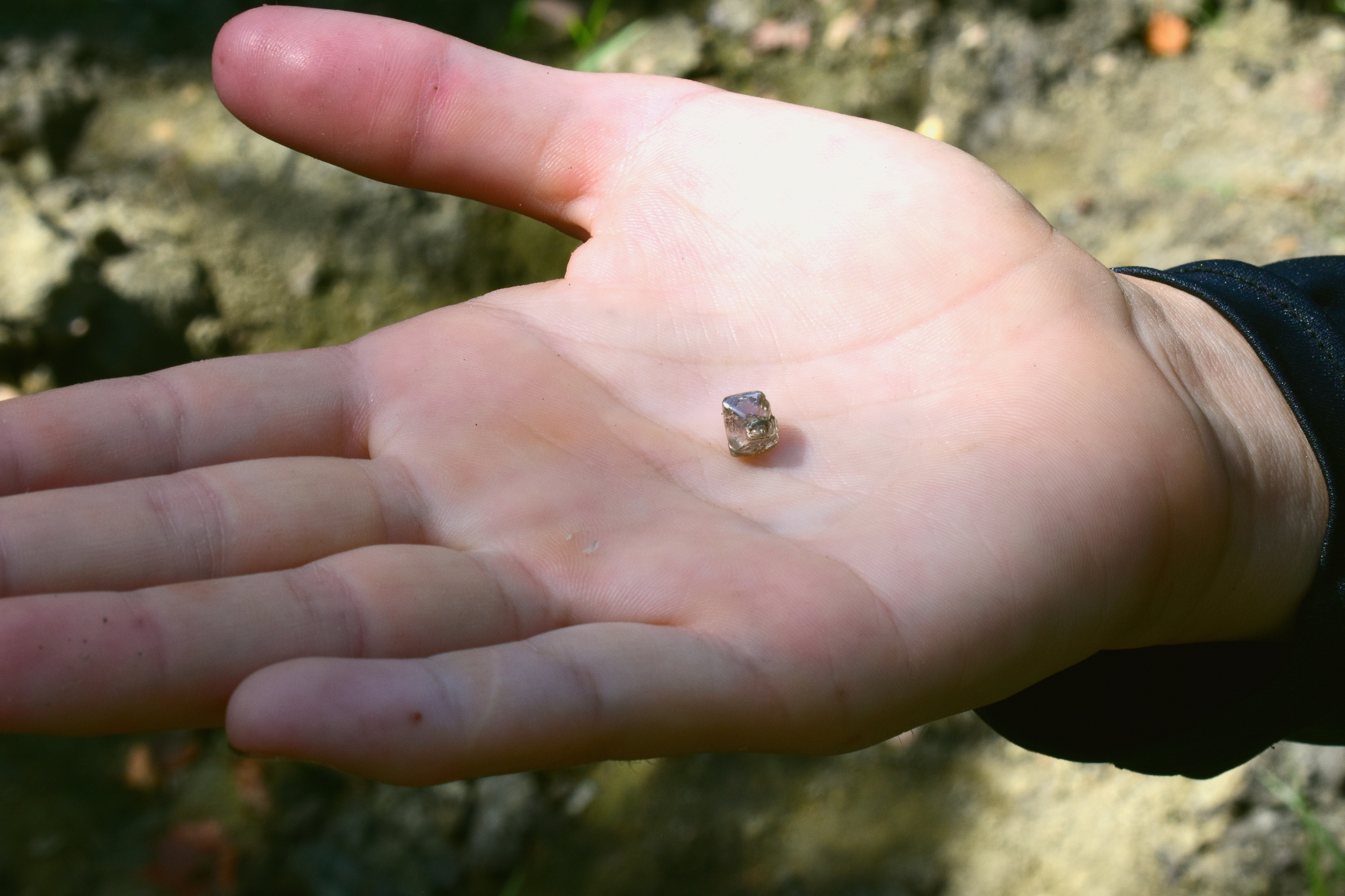 Fox pasó tres semanas en el Parque Estatal del Cráter de Diamantes antes de encontrar el diamante de 2,3 quilates