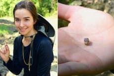 Mujer patea una “telaraña” en un parque de Arkansas... y halla diamante de USD 27.000