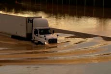 Mueren padres e hijo al caer árbol sobre su auto durante tormentas en Tennessee