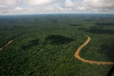 Ambientalistas temen que Noboa esté debilitando la reputación ecológica de Ecuador