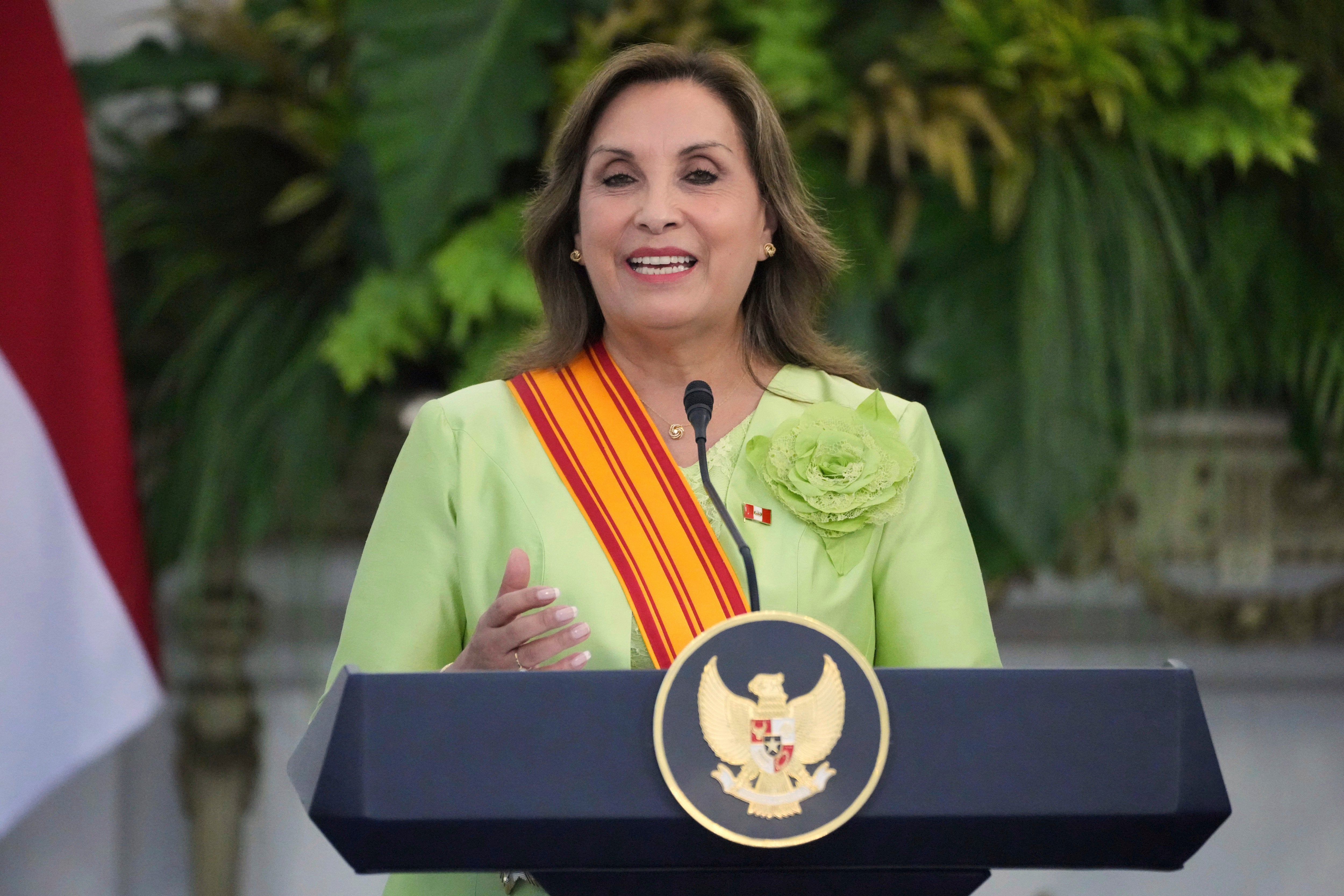 PERÚ-AMNISTÍA