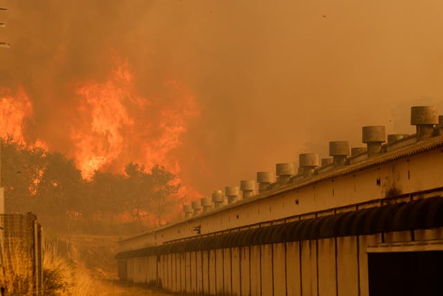 EUROPA-INCENDIOS