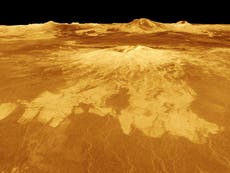 Descubren que la vida en otros planetas podría prescindir del agua