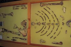 El fósil etíope Lucy viaja para su primera exhibición en Europa